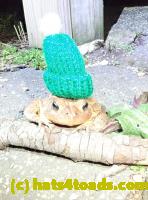 /home//u458753944/public_html/sourcegallery///////Roxborough Toad Detour/2020/2020-04-05/92125039_10222212434568742_5599365369354518528_o.jpg